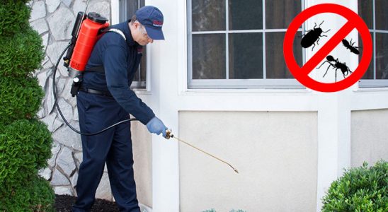 Tire Gümüşkurt İlaçlama böcek ilaçlama ve haşere kontrolü — ilaclama-tr.com